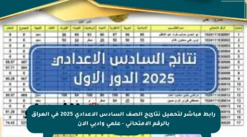 رابط مباشر لتحميل نتائج الصف السادس الإعدادي 2025 في العراق بالرقم الامتحاني – علمي وأدبي الآن